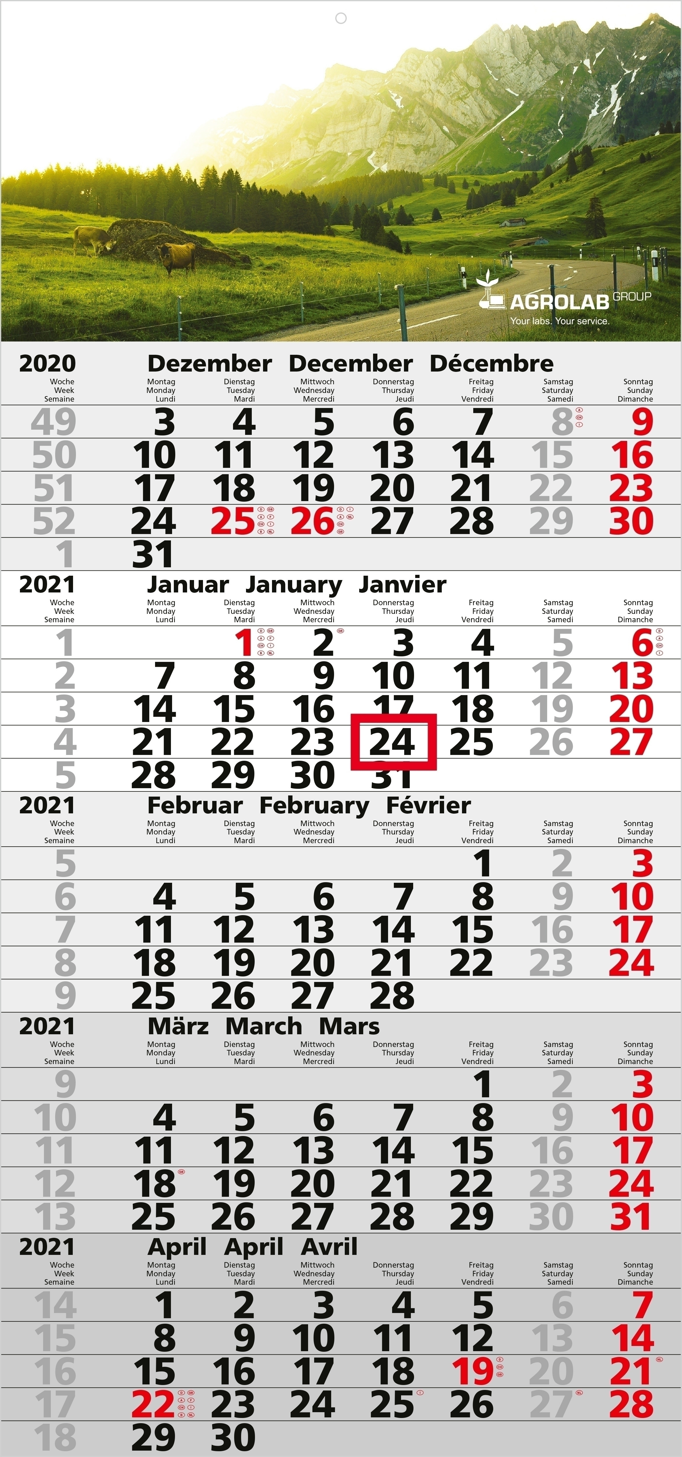 Einblatt-Monatskalender Quintus 5 bestseller