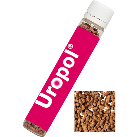 Instant Eistee Blutorange, ca. 10g, Sweet Dose Slim