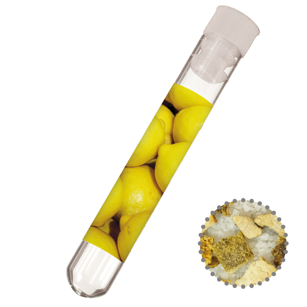 Gewürzmischung Zitronen-Salz, ca. 8g, Reagenzglas
