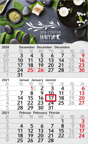 Einblatt-Monatskalender Budget 3 bestseller