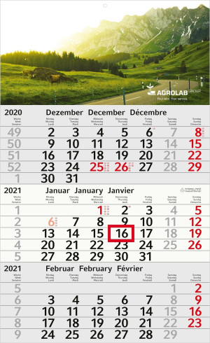 recycling Organisationskalender Budget 3 recycling