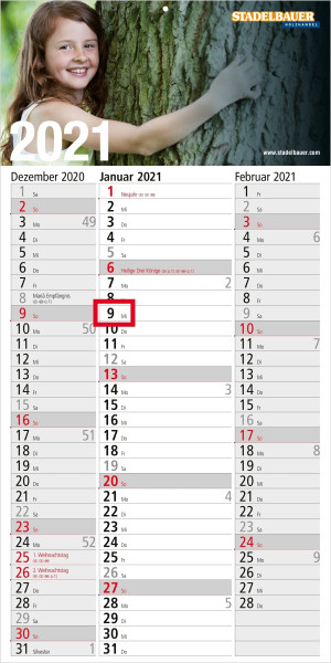 Einblatt-Monatskalender Spectrum 3 bestseller