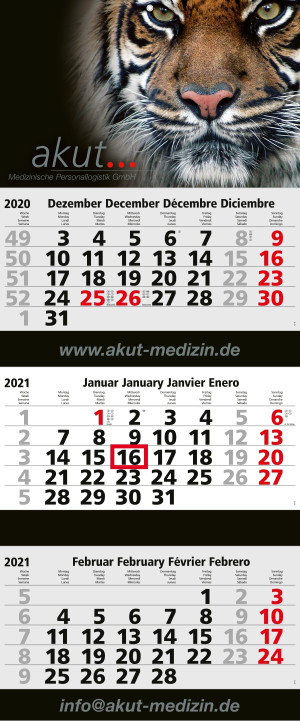 Mehrblock-Monatskalender Maxi 3 Post bestseller