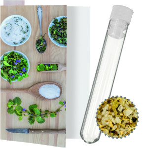 Bio Gewürzmischung Kräutersalz, ca. 9g, Express Reagenzglas mit Werbekarte