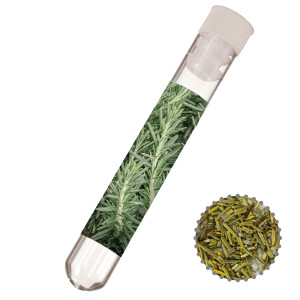 Gewürzmischung Rosmarin-Salz, ca. 8g, Reagenzglas