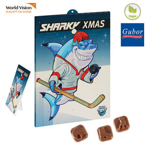 Sport-Schoko-Adventskalender, Sportmotive