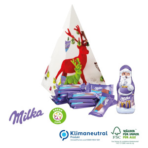 Präsent Weihnachtsbaum, Klimaneutral, FSC®