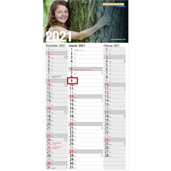 Einblatt-Monatskalender Spectrum 3 bestseller