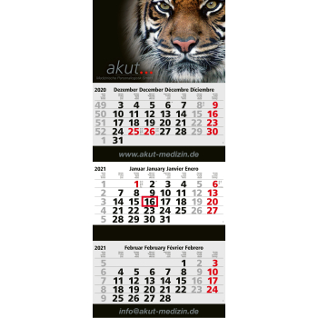 Mehrblock-Monatskalender Maxi 3 Post bestseller