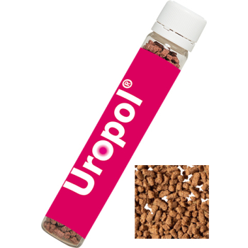 Instant Eistee Blutorange, ca. 10g, Sweet Dose Slim